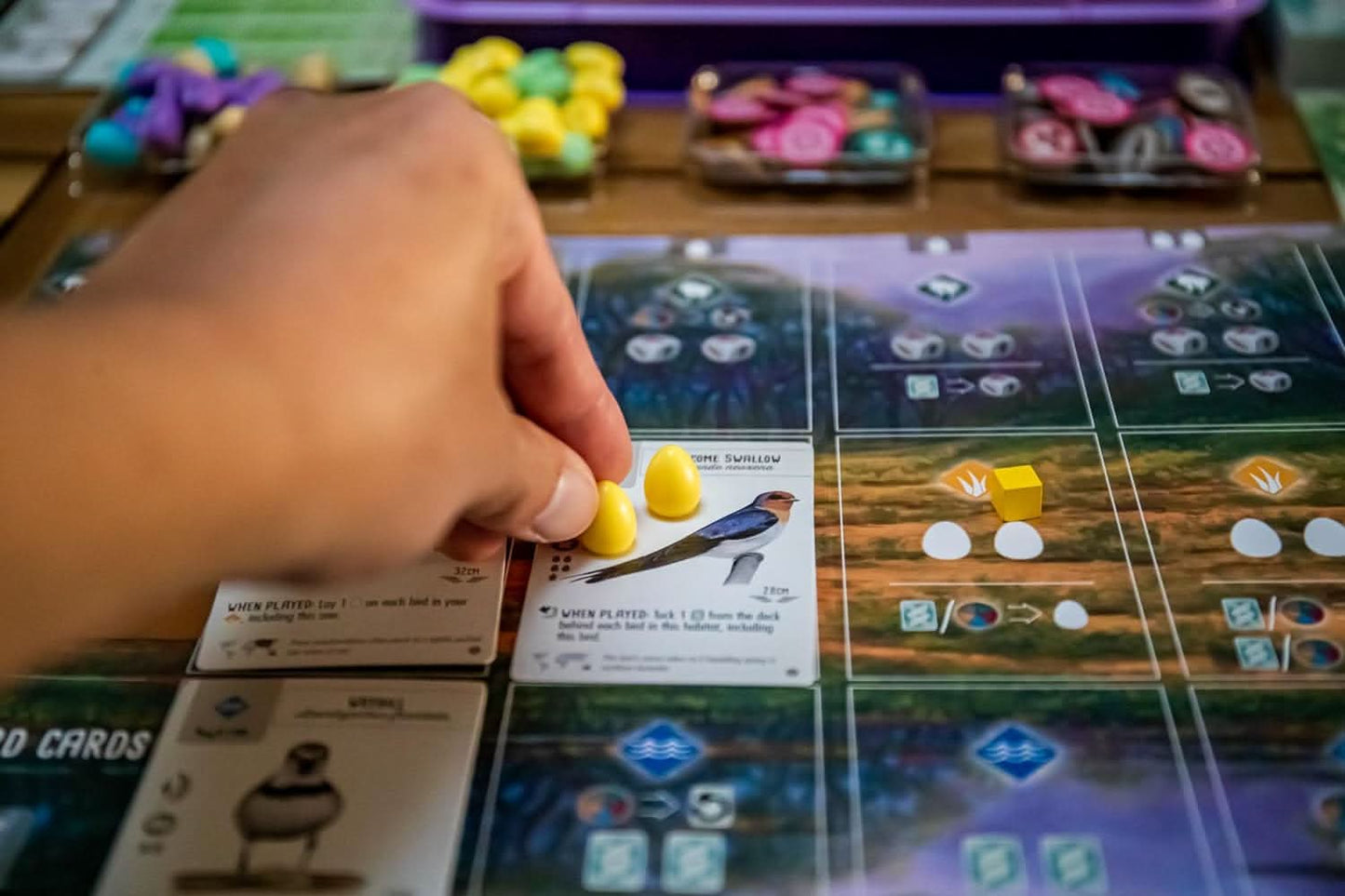 Oceania Board Game Expansion for WINGSPAN