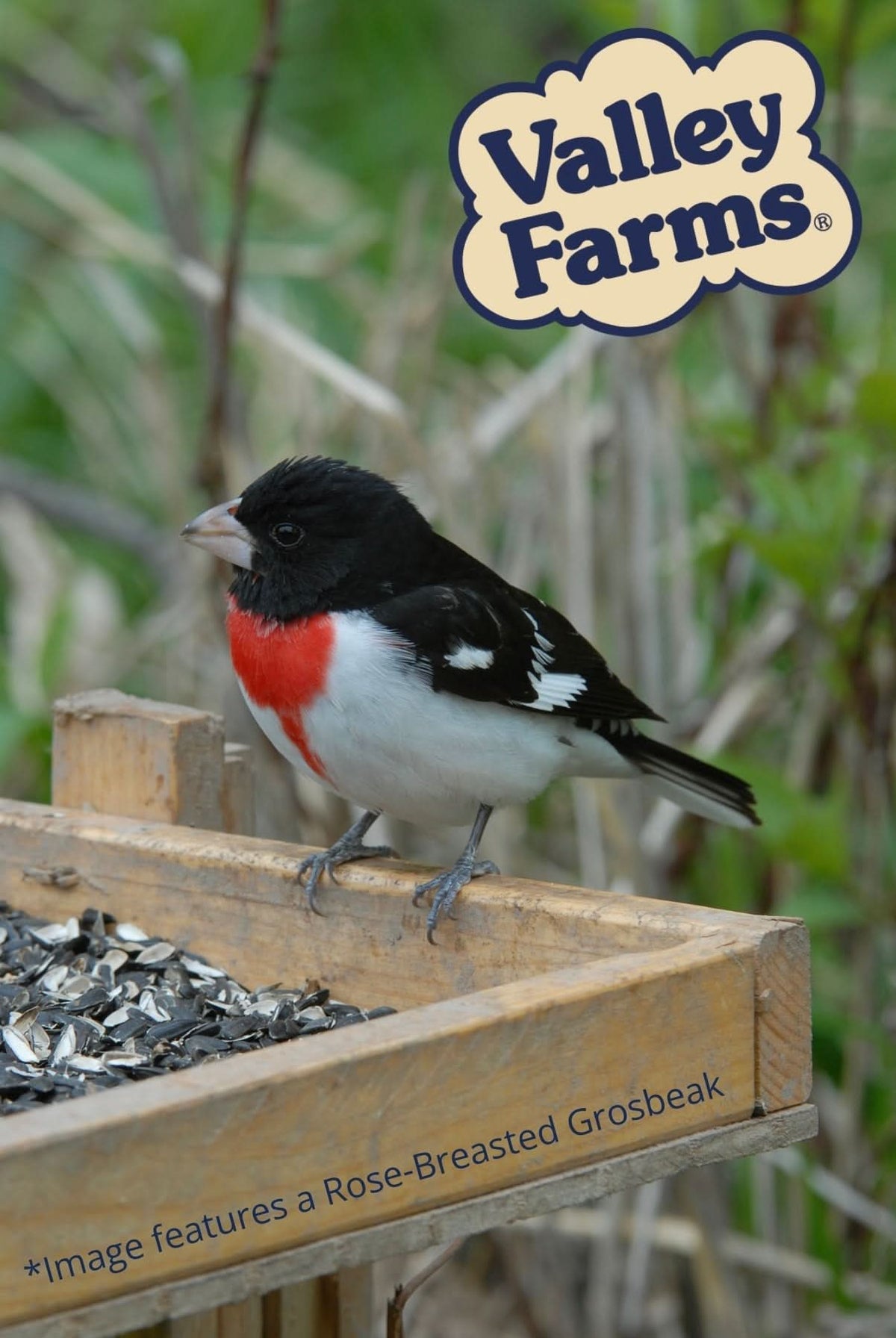 Valley Farms Cardinal Mix Wild Bird Food