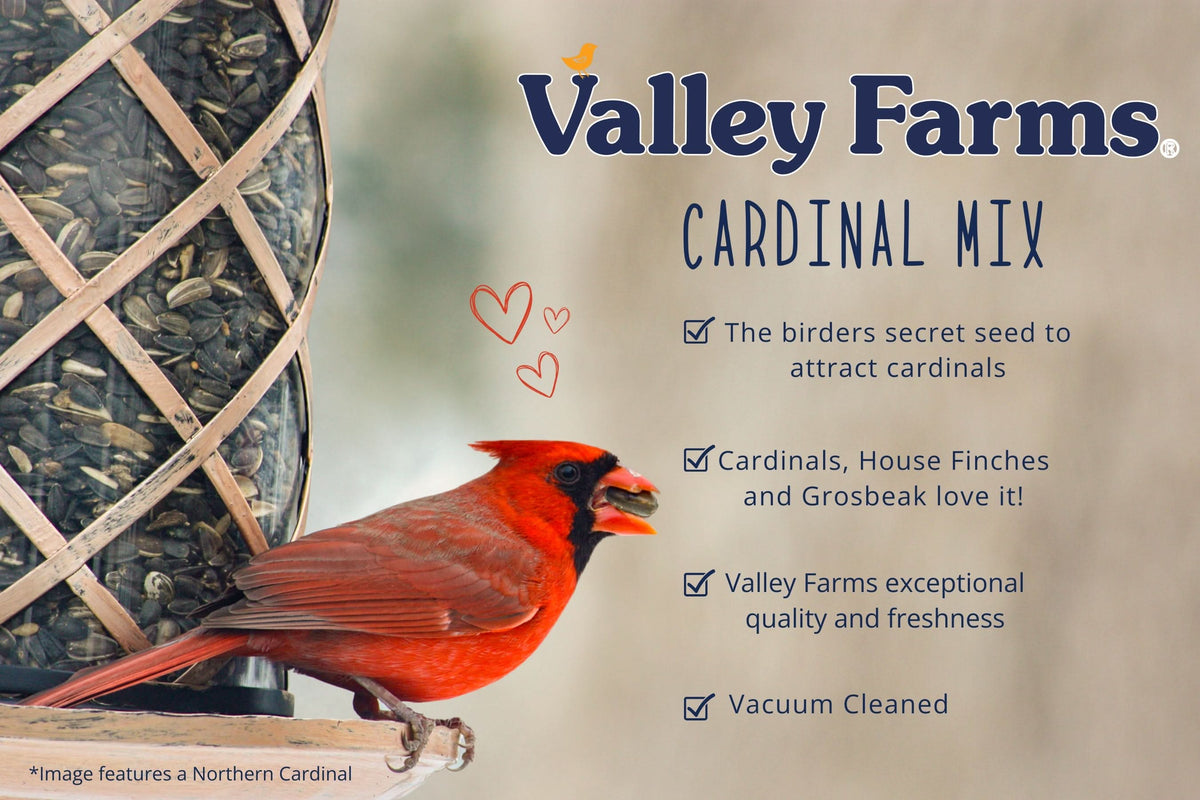 Valley Farms Cardinal Mix Wild Bird Food