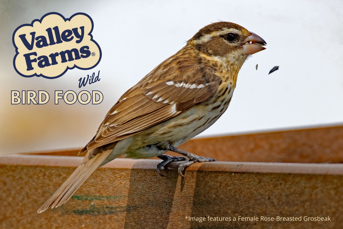 Valley Farms Cardinal Mix Wild Bird Food