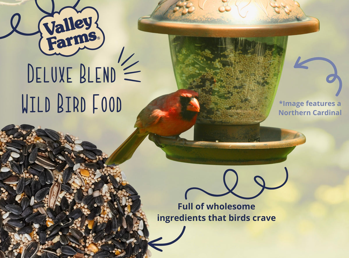 Valley Farms Deluxe Blend Wild Bird Food