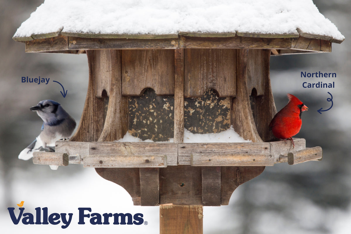 Valley Farms Deluxe Blend Wild Bird Food