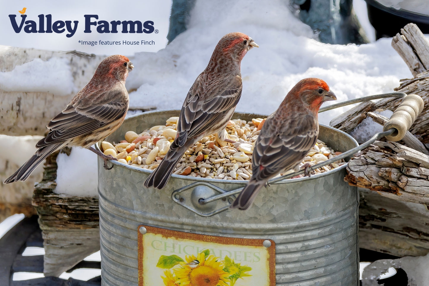 Valley Farms Hearty Delight Wild Bird Food