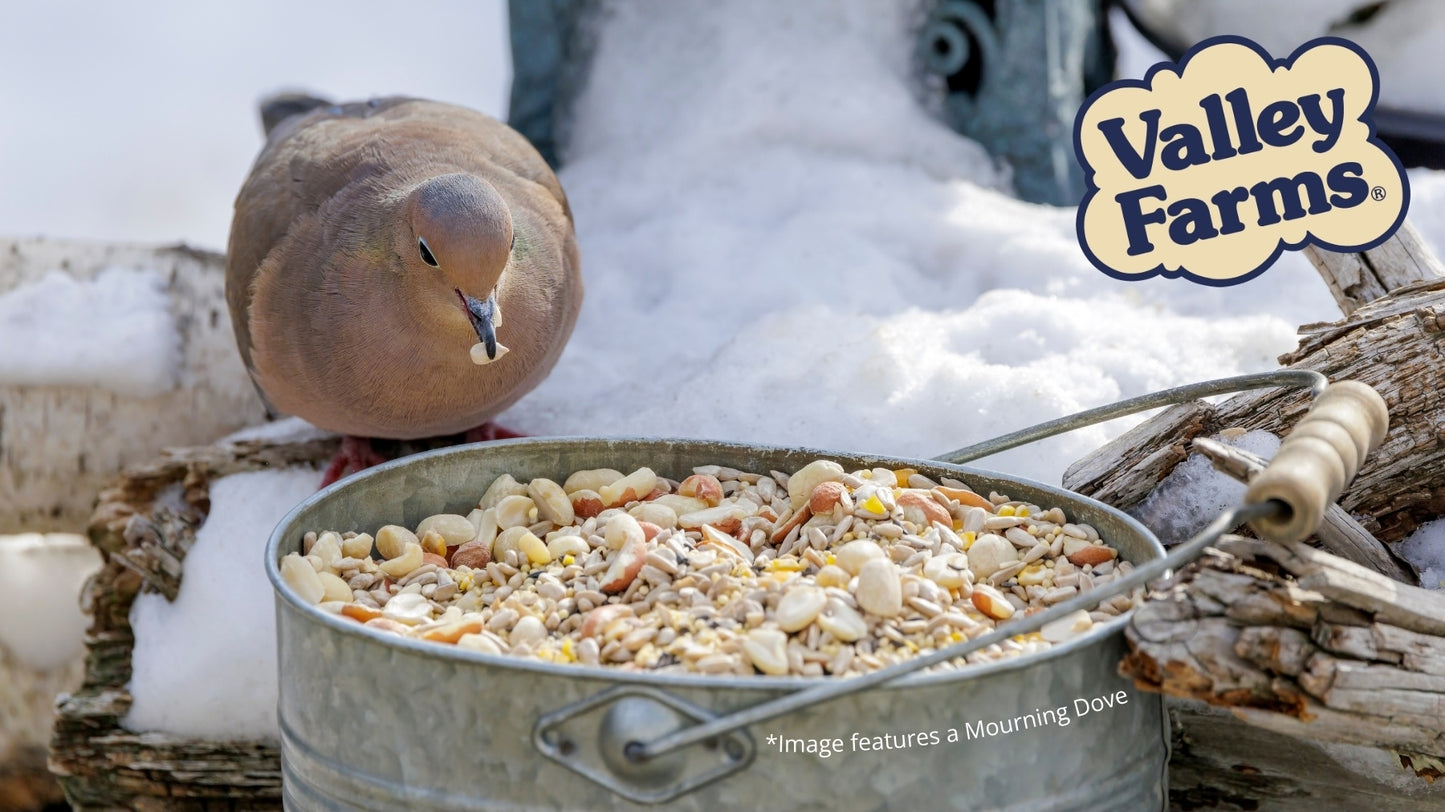 Valley Farms Hearty Delight Wild Bird Food