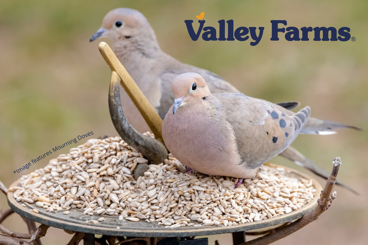 Valley Farms Sunflower Hearts Wild Bird Seed