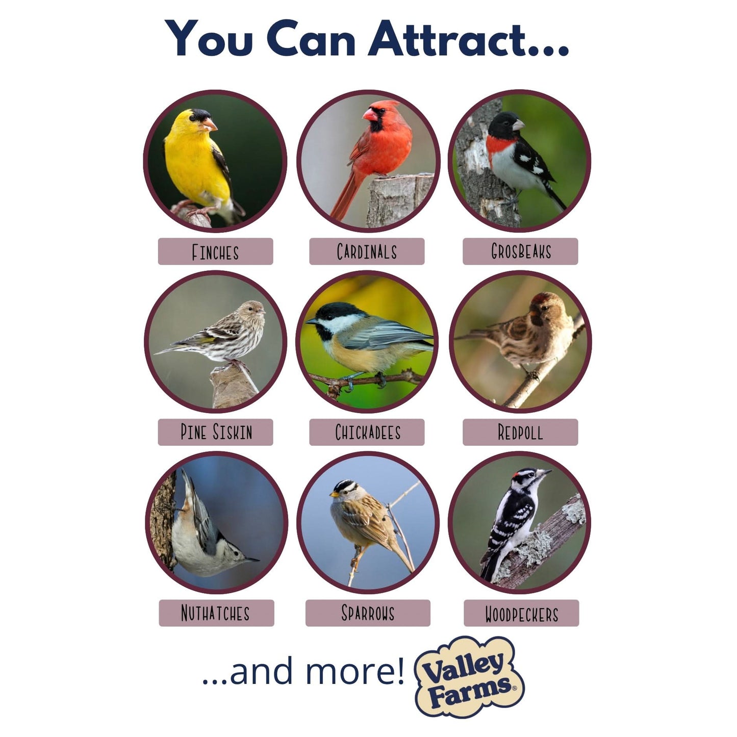 Valley Farms Sunflower Hearts Wild Bird Seed