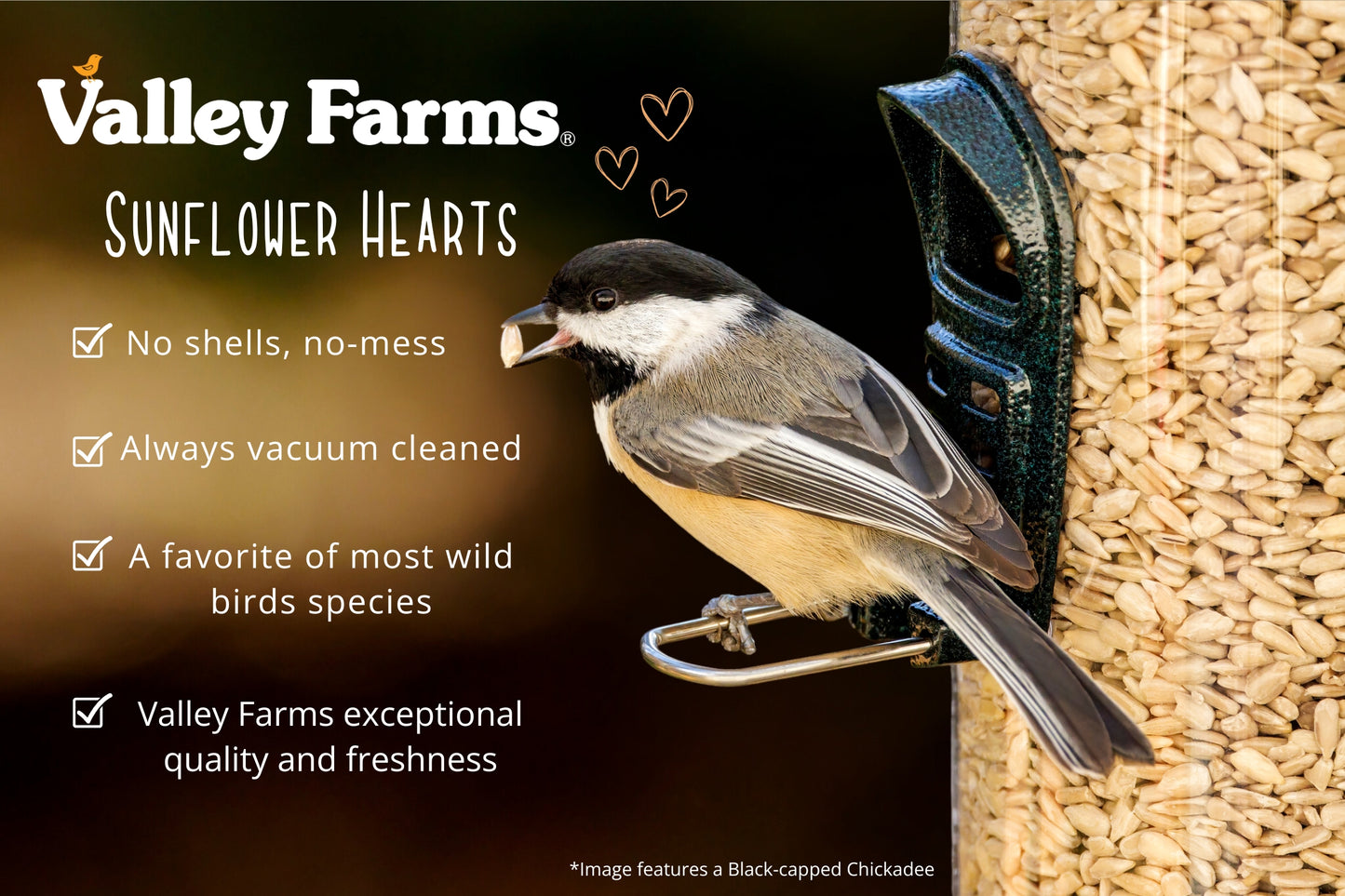 Valley Farms Sunflower Hearts Wild Bird Seed