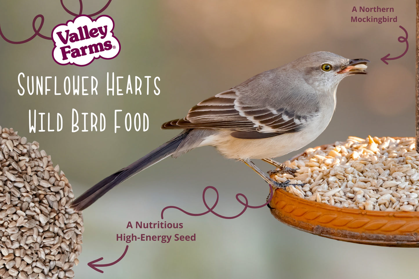 Valley Farms Sunflower Hearts Wild Bird Seed