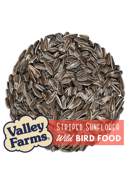 Valley Farms Striped Sunflower Wild Bird Seed