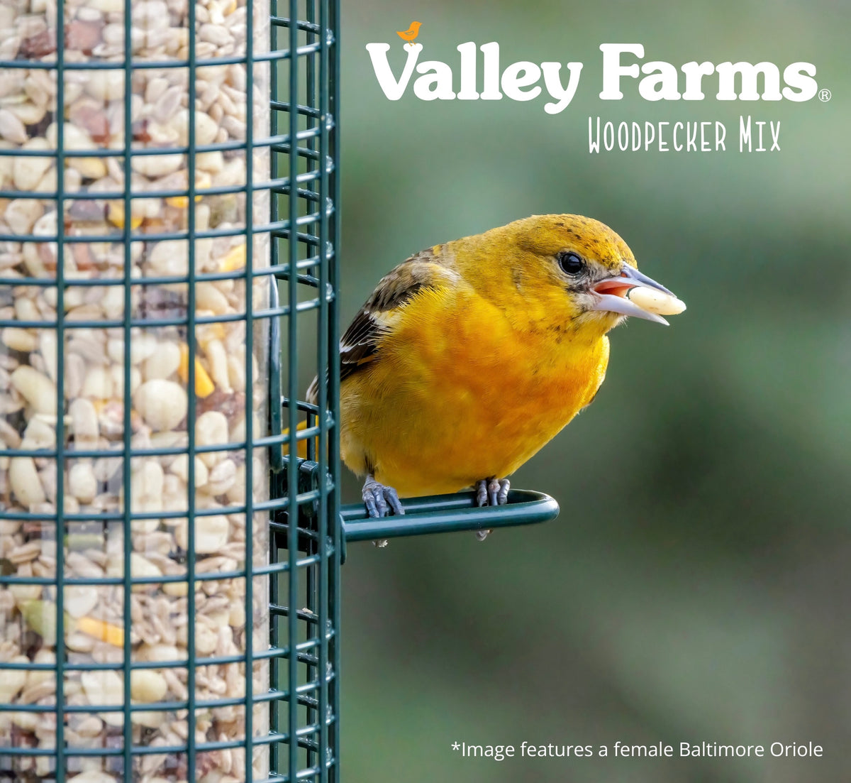 Valley Farms Woodpecker Mix Wild Bird Food