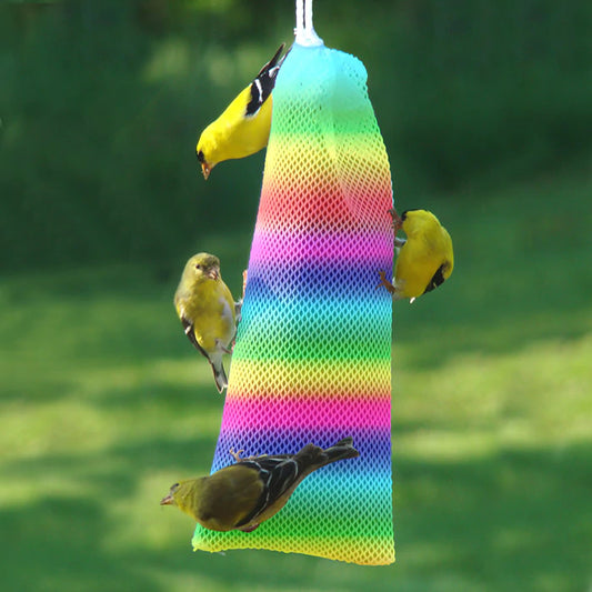 Nyjer Seed: A Fan Favorite Amongst Backyard Birds