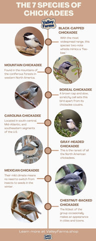 The 7 Species of Chickadees