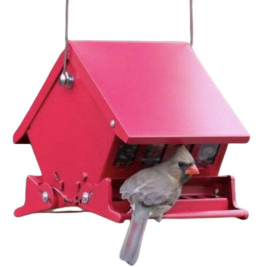 Mini Absolute® Squirrel Resistant Feeder by AUDUBON