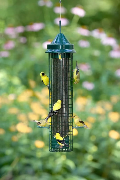 SquirrelBuster Finch by BROME BIRD CARE