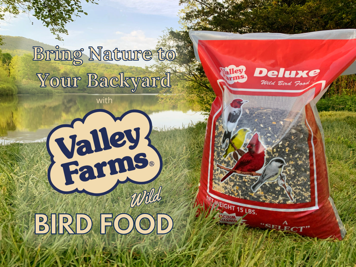 Valley Farms Deluxe Wild Bird Food