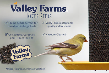 Valley Farms Nyjer Seed Wild Bird Food