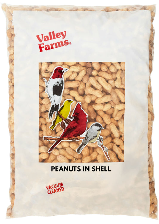 Valley Farms Whole Peanuts Wild Bird Food