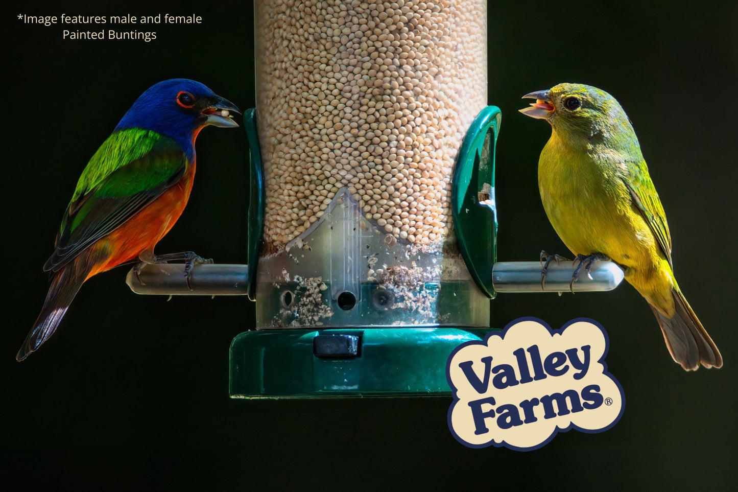 Valley Farms White Millet Wild Bird Food