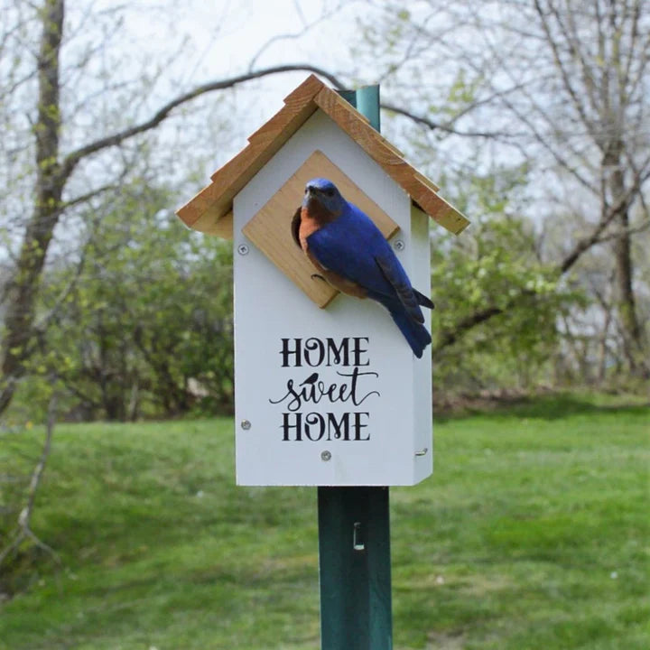 Farmhouse Bluebird House by WILD WINGS