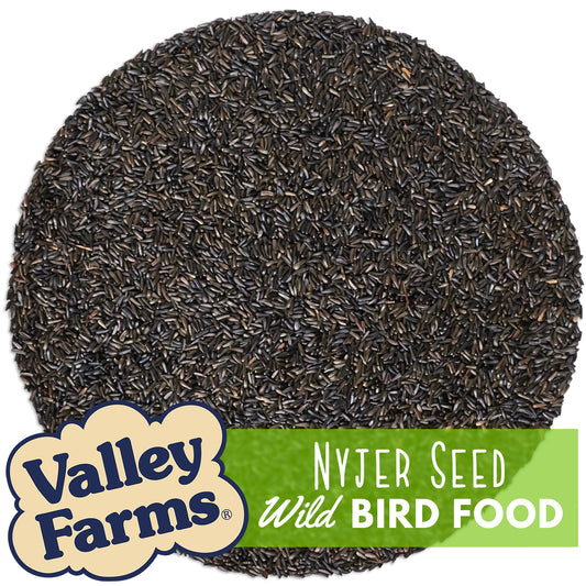 Valley Farms Nyjer Seed Wild Bird Food