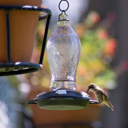 Artisan Series Blush Crackle Gravity Hummingbird Feeder by NATURE'S WAY