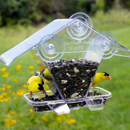 Window Café Bird Feeder by ASPECTS