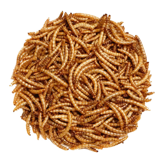 A one pound orange bag of aspen song dried mealworms that has a picture of a rooster and a bluebird.