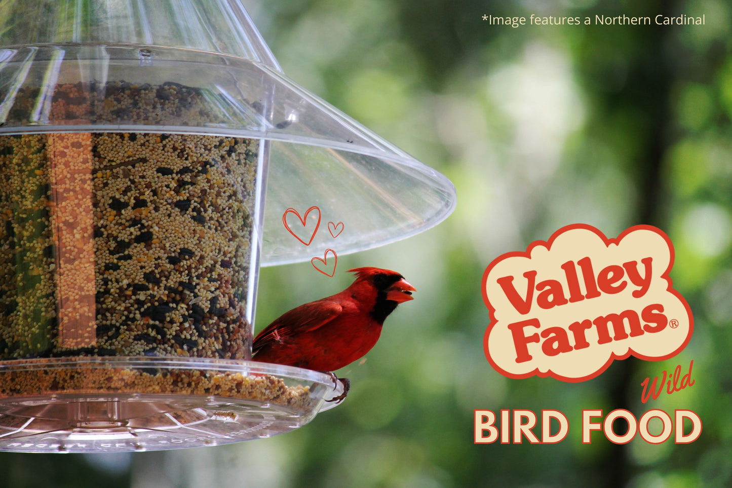 Valley Farms Hi-Flite Wild Bird Food