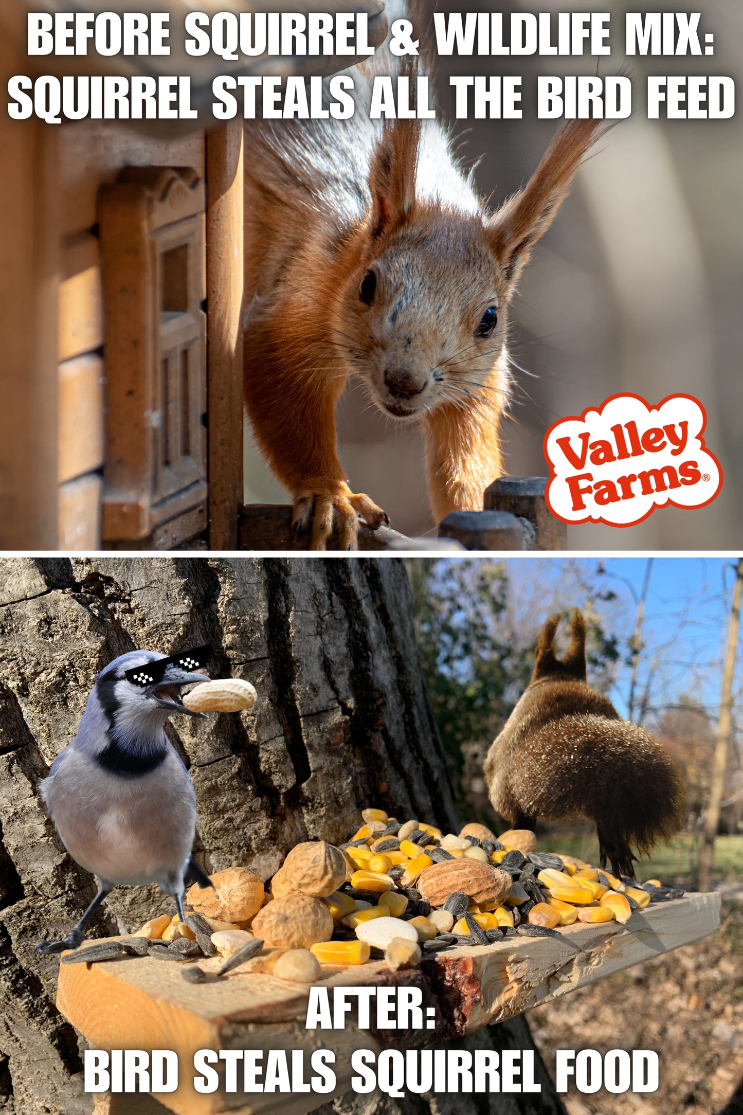 Valley Farms Squirrel & Wildlife Mix Wild Bird Food