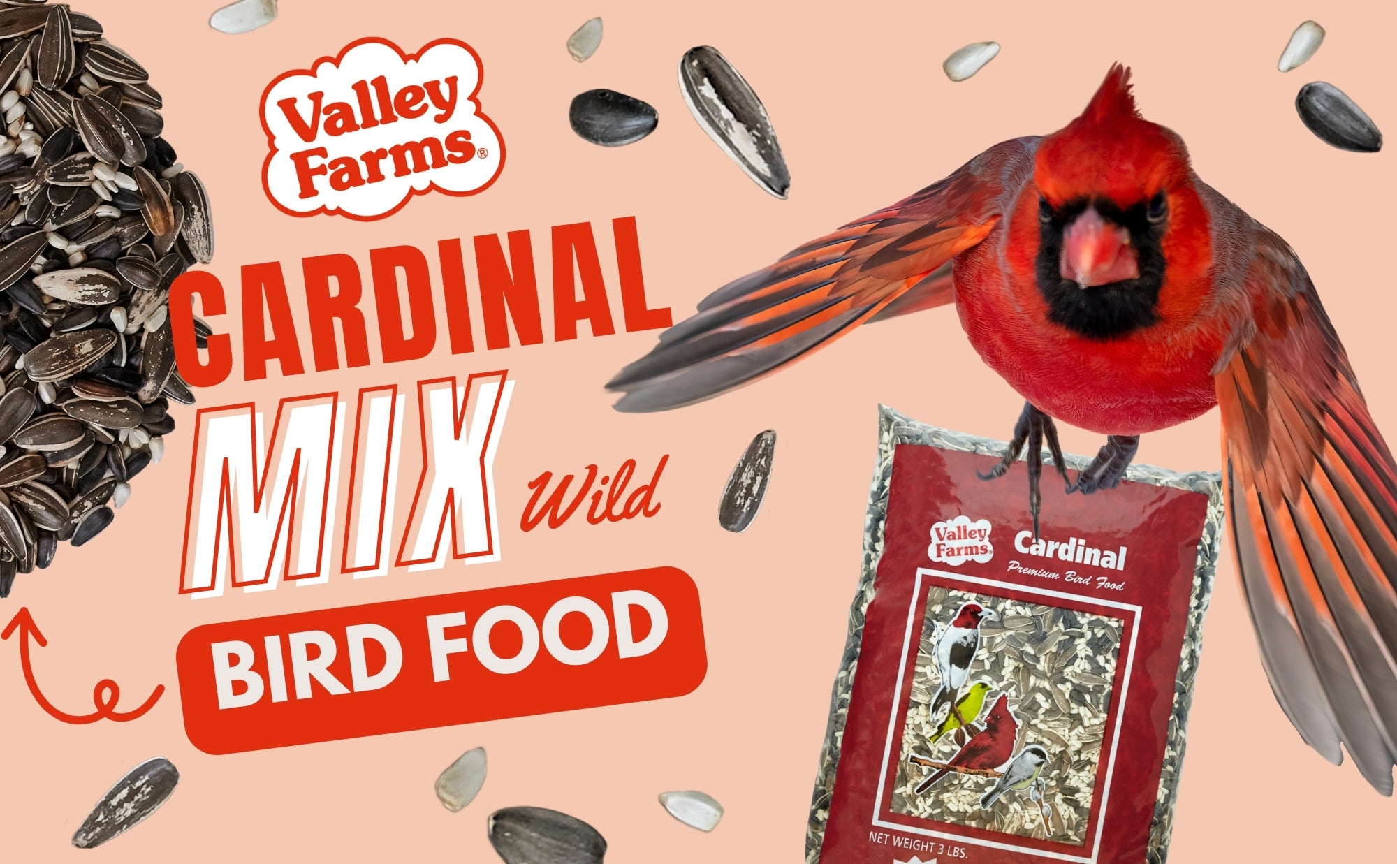 Load video: valley farms cardinal mix video showing bird food with product in feeder