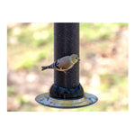 DROLL YANKEE: Onyx Clever Clean® 12" Finch Magnet Feeder