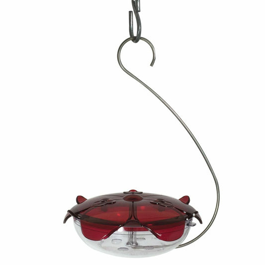 Ruby Sipper Hummingbird Feeder by DROLL YANKEES