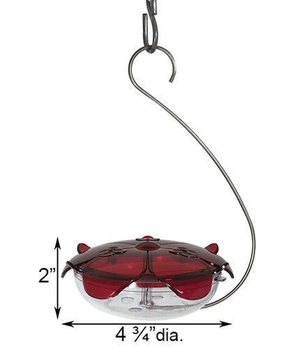 Ruby Sipper Hummingbird Feeder by DROLL YANKEES