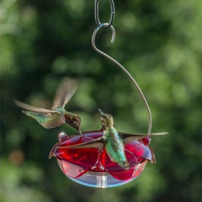 Ruby Sipper Hummingbird Feeder by DROLL YANKEES