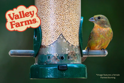 Valley Farms White Millet Wild Bird Food