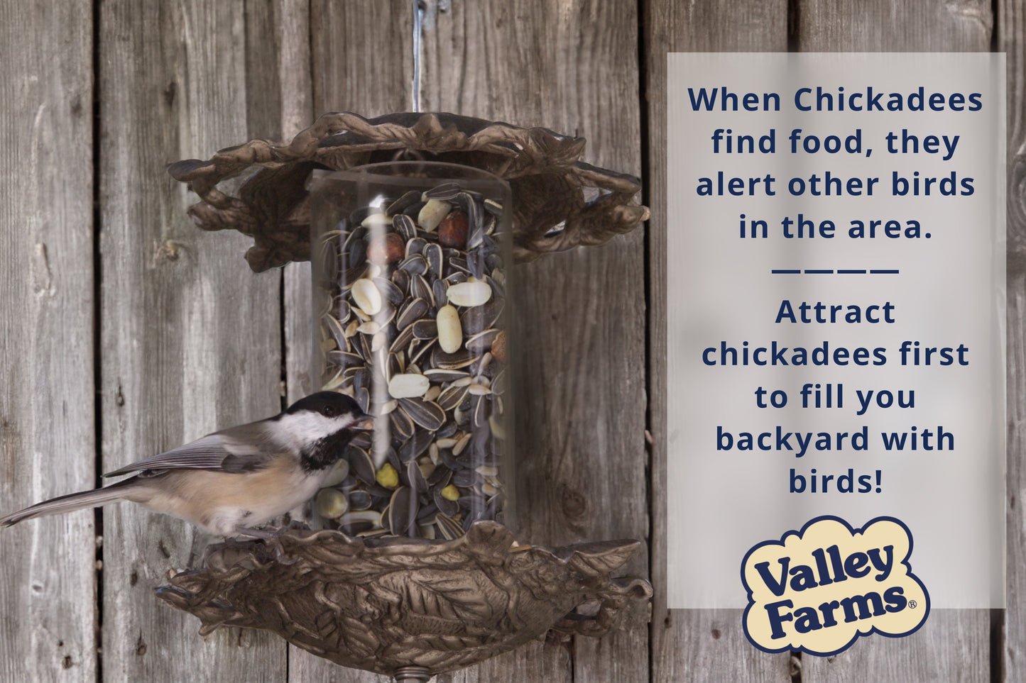 Valley Farms Chickadee Mix