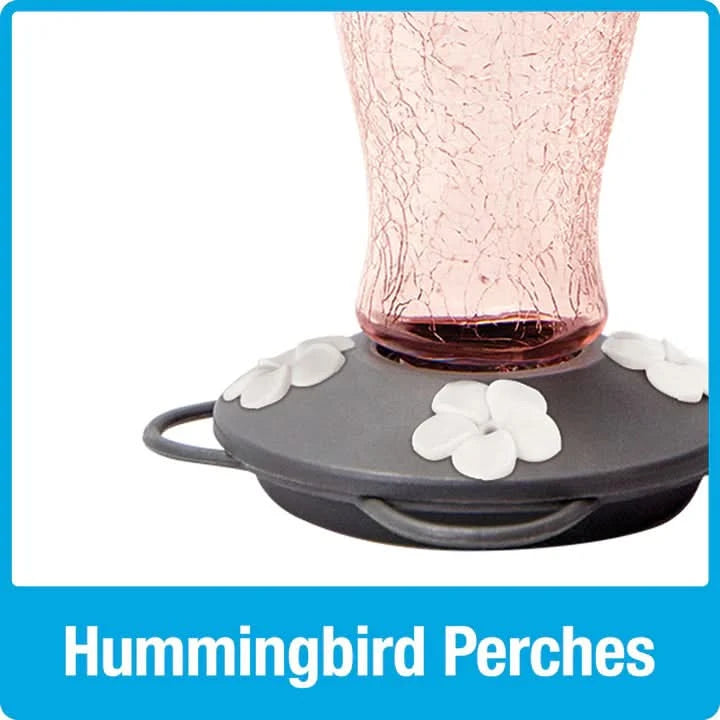 Artisan Series Blush Crackle Gravity Hummingbird Feeder by NATURE'S WAY