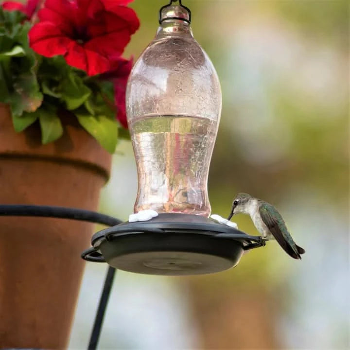 Artisan Series Blush Crackle Gravity Hummingbird Feeder by NATURE'S WAY