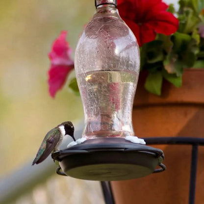 Artisan Series Blush Crackle Gravity Hummingbird Feeder by NATURE'S WAY