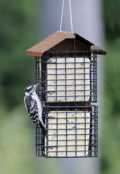 the stokes suet buffet feeder with a female downy woodpecker on it