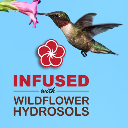 A ruby throated hummingbird drinking a pink flower with the graphic infused with wildflower hydrosols