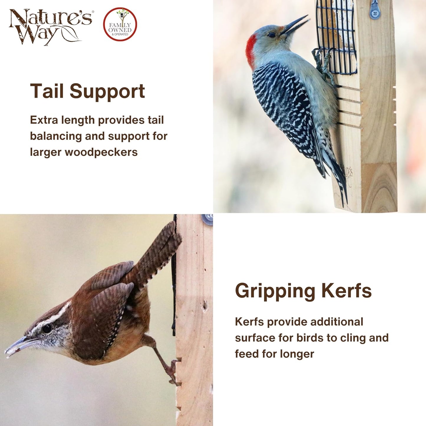 a picture of a red bellied woodpecker demonstrating the tail prop and a picture of a wren demonstrating the gripping kerfs