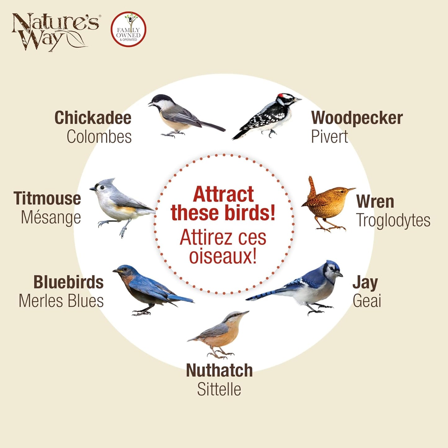 A chart that shows the tail prop feeder may attract chickadees, woodpeckers, titmouse, wren, nuthatches, bluebirds and jays