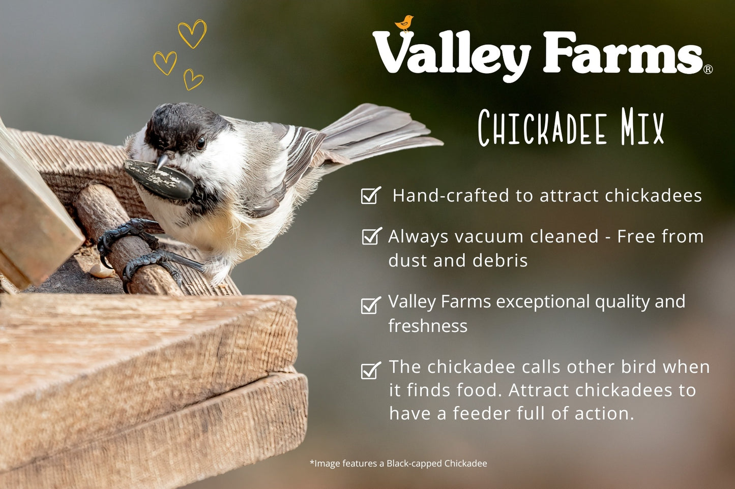 Valley Farms Chickadee Mix