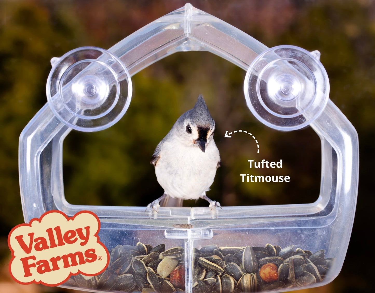 Valley Farms Chickadee Mix