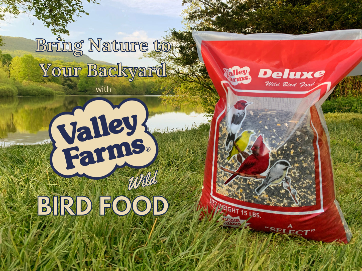 Valley Farms Deluxe Wild Bird Food