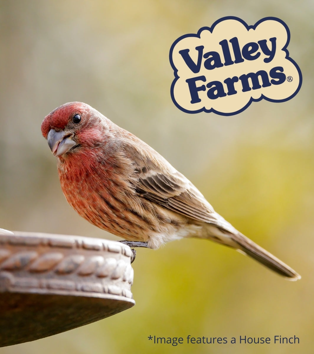 Valley Farms Wild Finch Mix Wild Bird Food