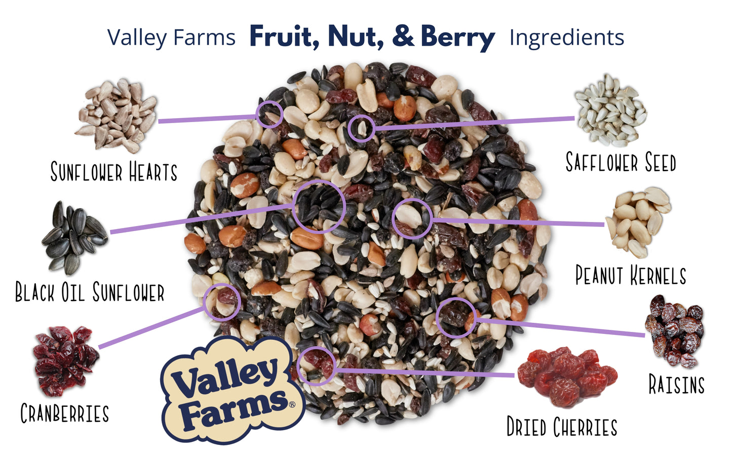 Valley Farms Fruit Nut & Berry Wild Bird Food