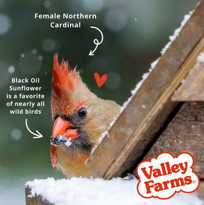 Valley Farms Fruit Nut & Berry Wild Bird Food