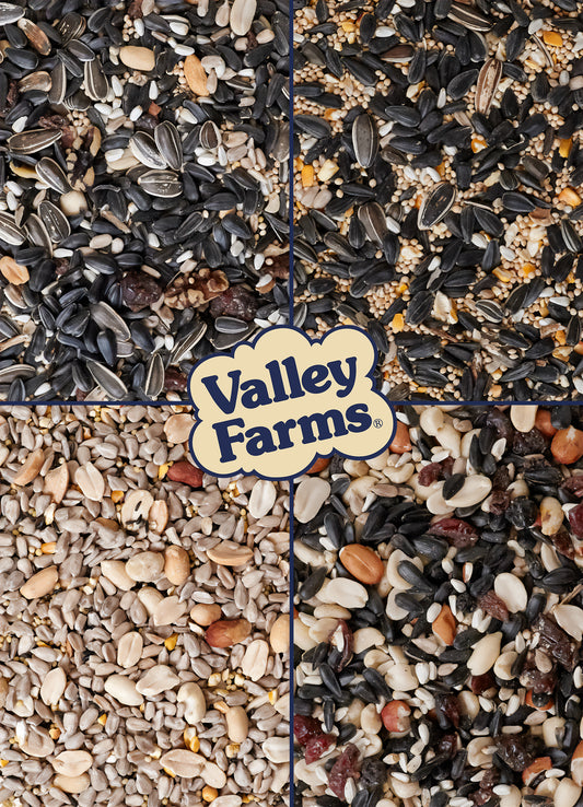 This product is free to ship as all of our products on Valley Farms Shop website. bird food near me bird food for outside feeders by Valley Farms this wild bird seed is a premium package containing 4 different Valley Farms brand best sellers, Super Deluxe, Hearty Delight, Fruit Nut and Berry, plus Deluxe blends each in a 4 pound bag, each crafted by our family run staff making small batch bird seed. it's a great gift with a total weight of over 16 pounds. Give the gift of Nature to your bird lover today.